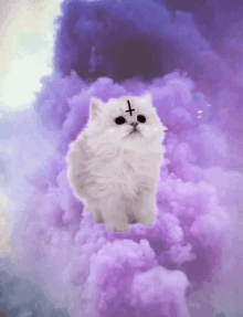 Gif animé gothique chat